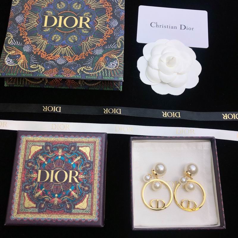 Dior Earring 09yxs19